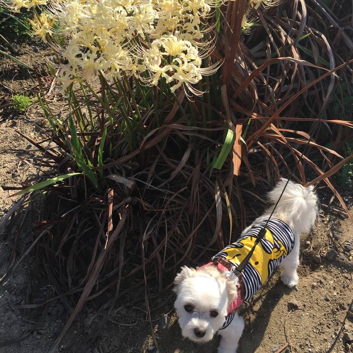 834eb91b b335 48de 9d11 b13bb68d6295