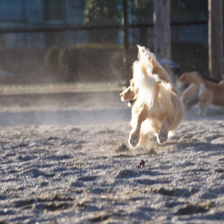 834ee89e 0378 45fc ade7 31e8bc14201b