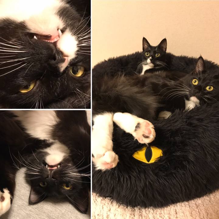 834f42fc 75b7 405f b918 0f9d3ffe38e4