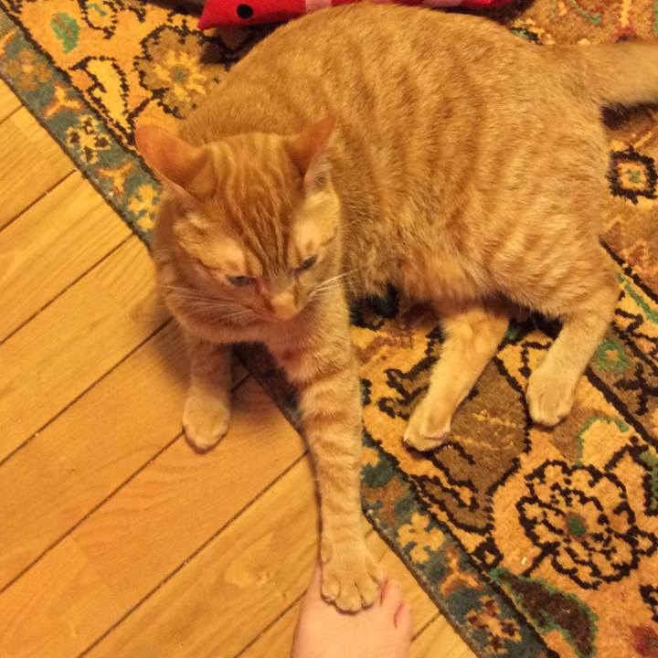 834f7b31 629a 4f83 8436 6267e60bea72