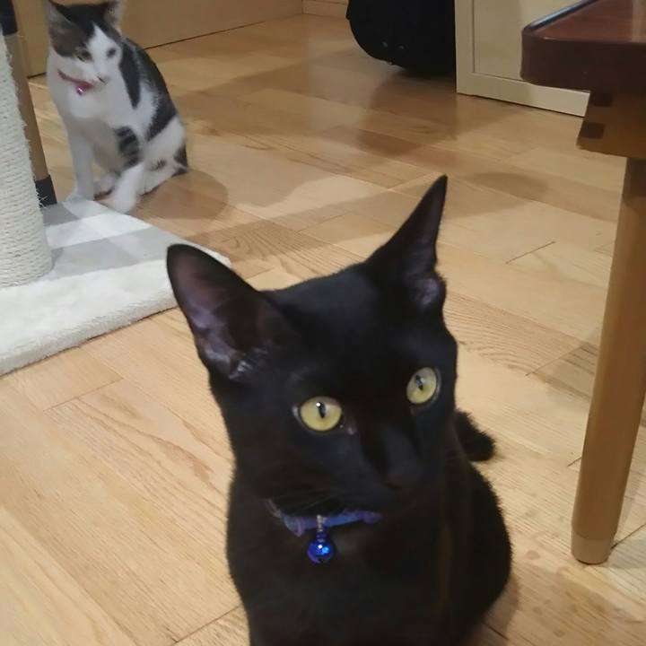 834f82e2 e01e 4c52 97a1 b92894c5e0a5