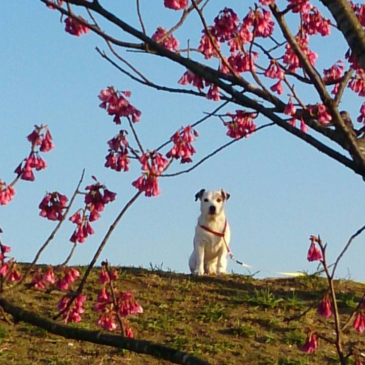 834fb8db 8232 4029 9702 c89285245c29