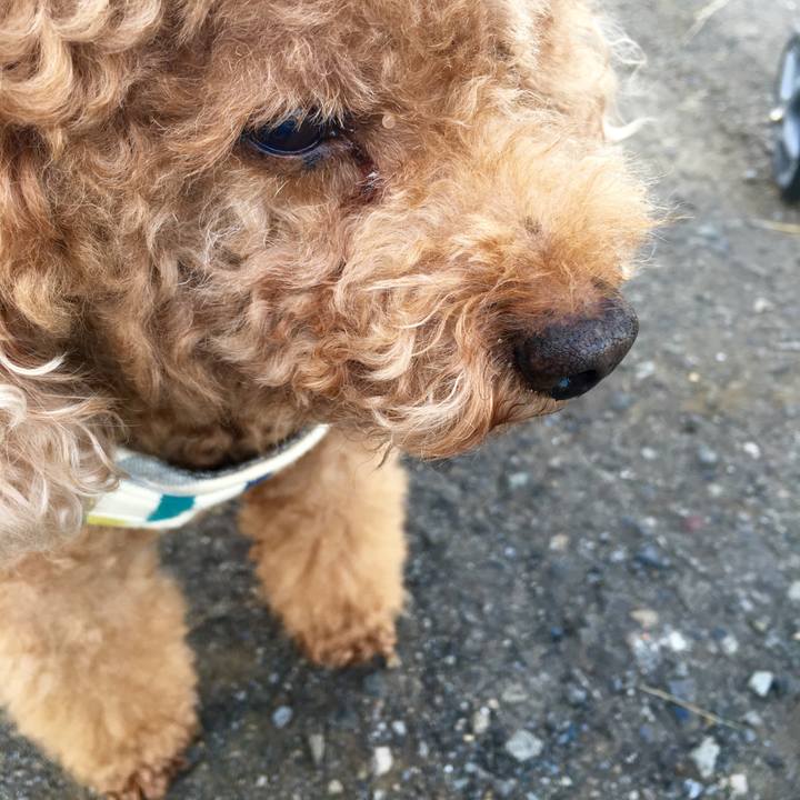 834fda7d 05e0 40cb 8fa5 7e3d3a163208