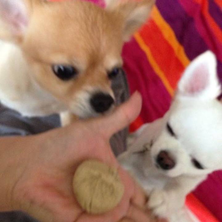 835042f2 bccb 4f9d 9812 dedcbcc877dd