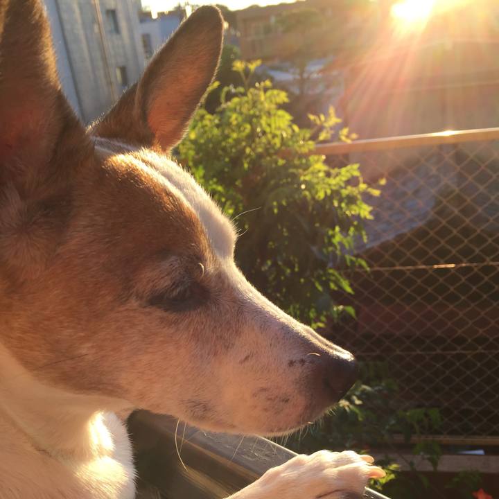 8350accb 4961 4830 a976 d56f3092d445