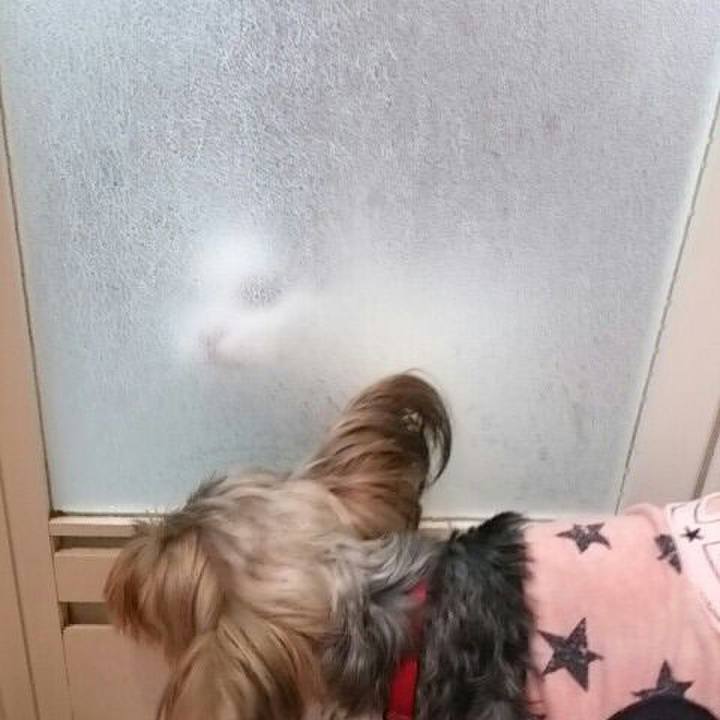 8350ffc7 c2de 44eb bffd 52cc4d836766