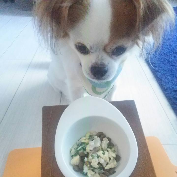 8351011e e39c 45fc 8f30 d6b64823b9be