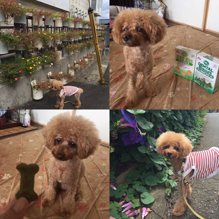 83510dcc 359e 412c 9a9e 01a6c2d7c171