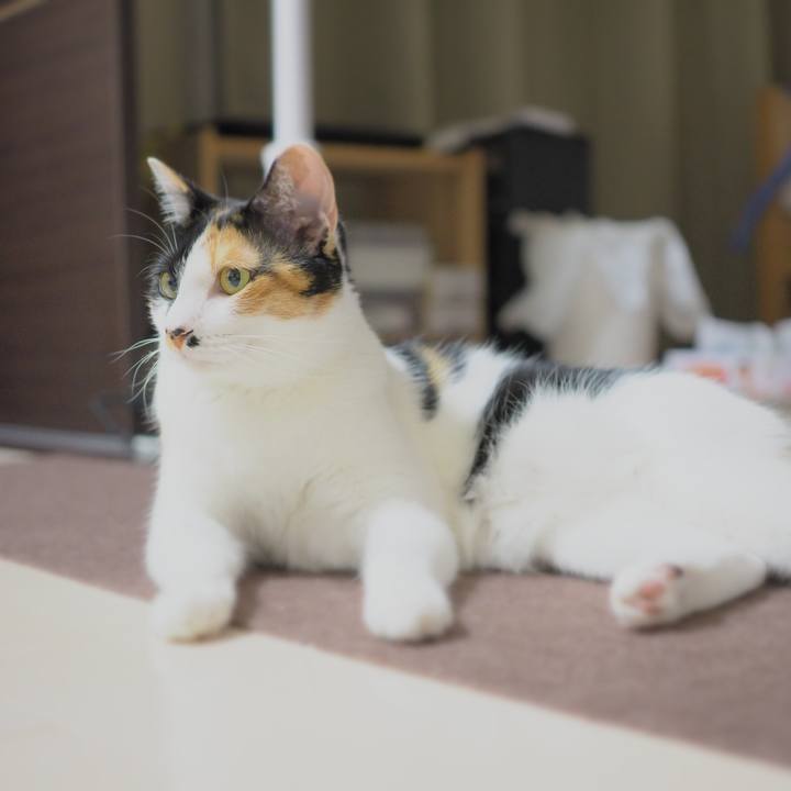 83515ee1 0eb0 41f2 83f8 5fc3c7bdb84b