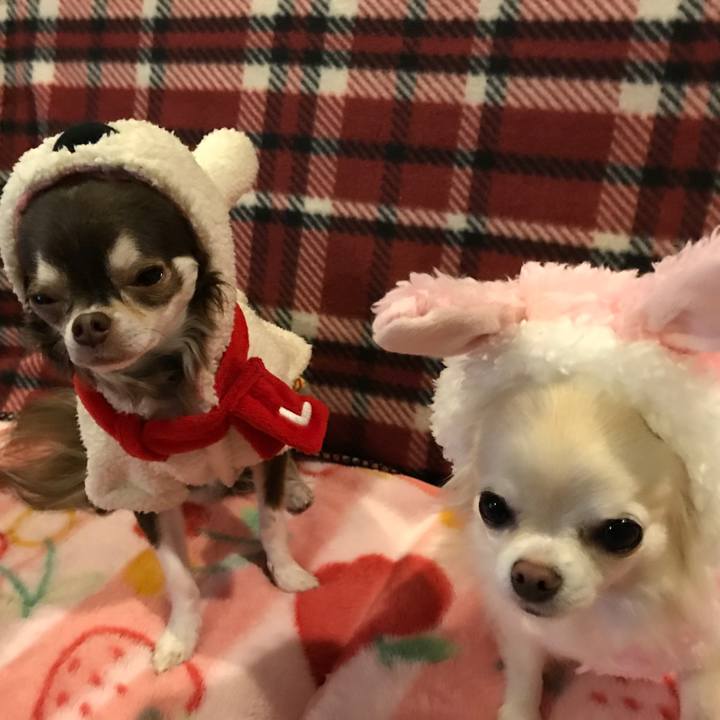 835189de 4e43 42df b407 13815ca9249c