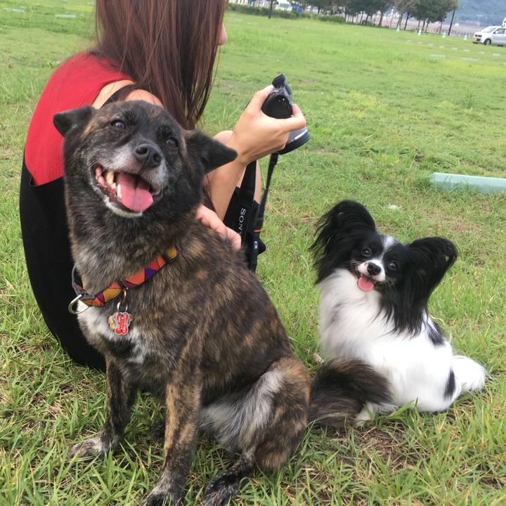 8351ce24 f5ed 47f8 b5d6 e8ccd6bed5c6