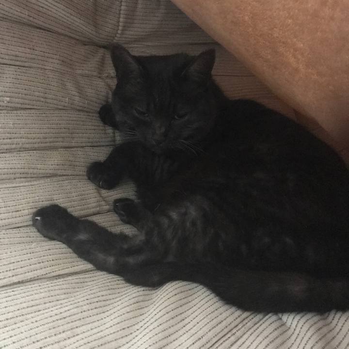 83520c4f a5a9 47b5 9afb 3562f9787af5