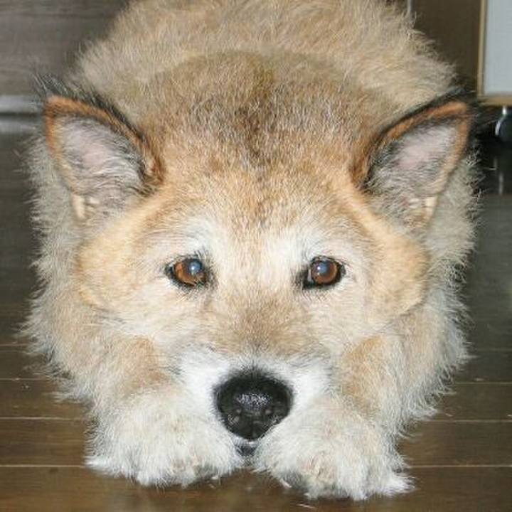 83523dd4 48ae 488f 9d81 16addc23a7c6