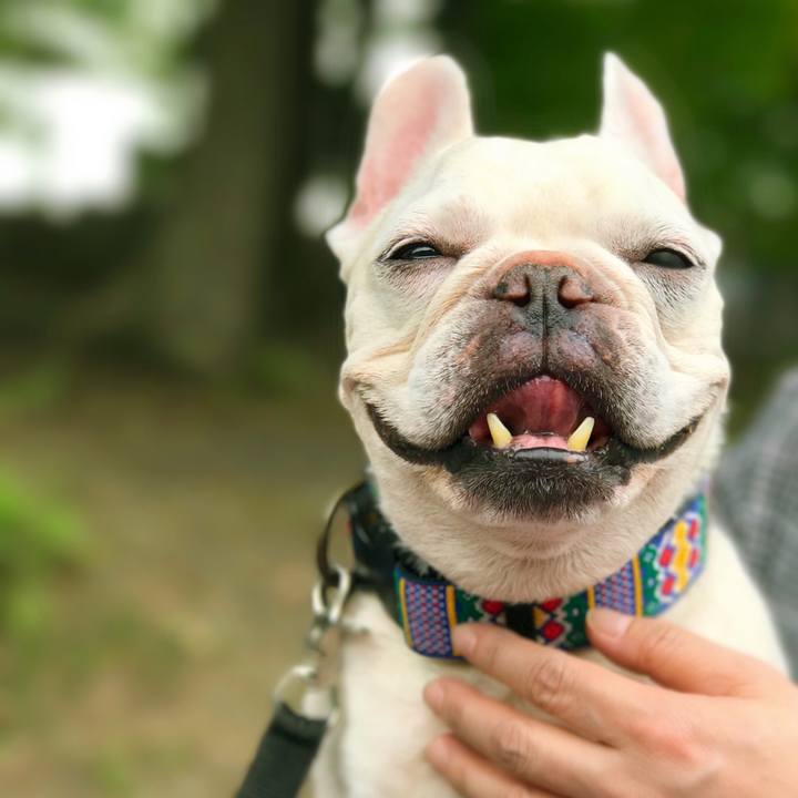 83525bef fcdb 4103 8426 d3e56a907773