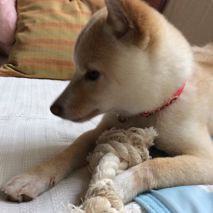 8352e7cf 4a00 475f af7d 5c0a4650bdd3