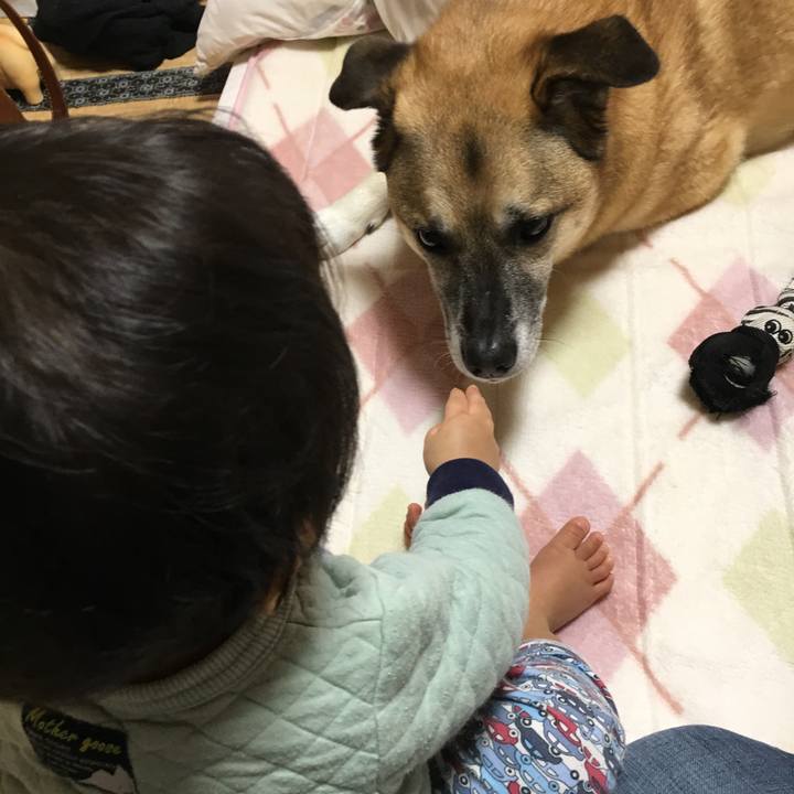 83530115 0543 47bb 8772 2a8a1ec83b49