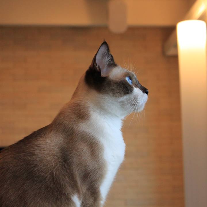 83532a9e 945a 44f4 815d 9d31021f971d