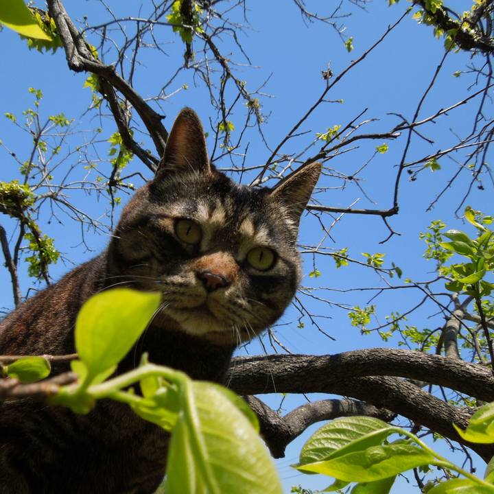 83535943 e5a0 4ecc 8a2f c887fef16921