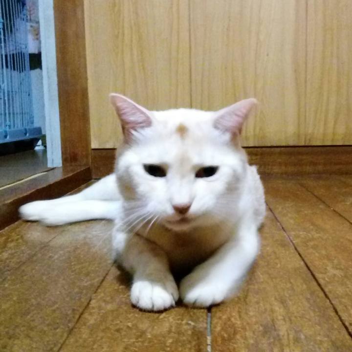 83538b65 d1ba 4c6f 8540 b4ff7f6268af