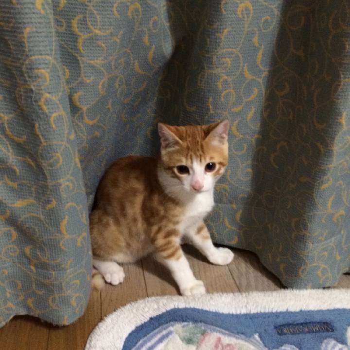 8353aa19 a6cc 4ef2 96dd fcd046395f6f