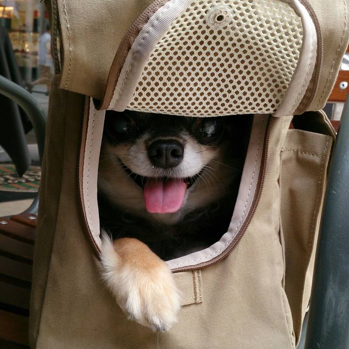 8353bf20 589c 4cba 9e77 c553242d5101