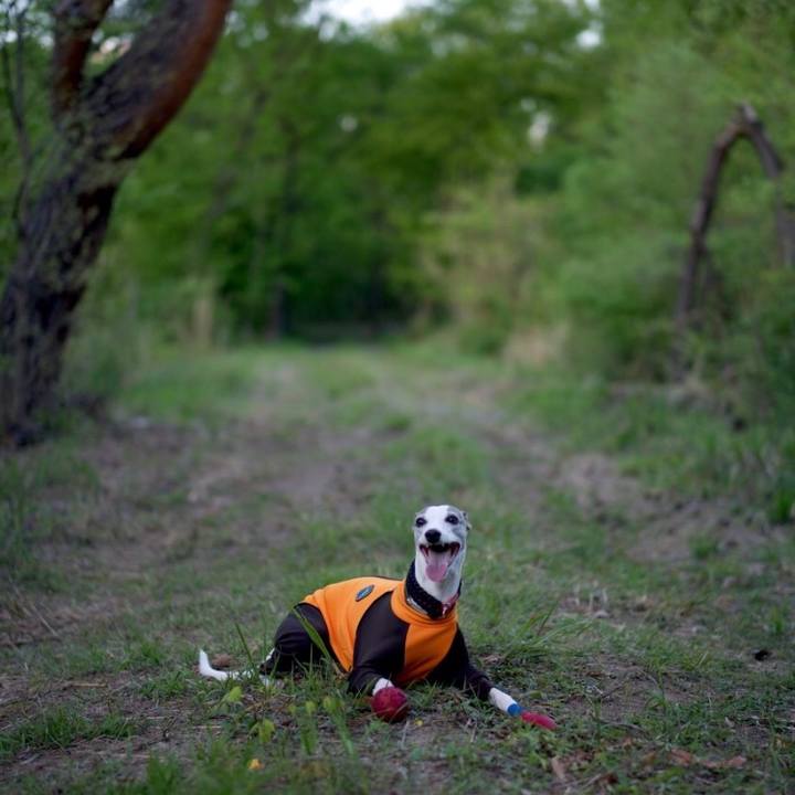 8353cb51 d6f9 470a bd77 eaf63354b4c7