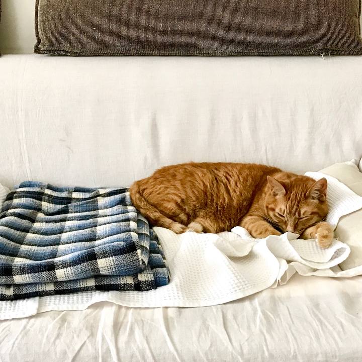 835424ca 8ce3 4ed7 8ea1 44411737c12d