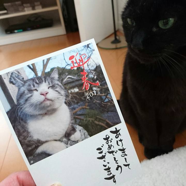 8354d34f 41ab 4654 a17e 08771f2492fb