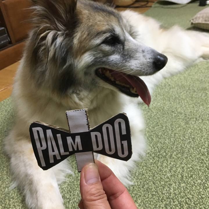 8354f6aa b326 40ff b4eb 833089a3afac