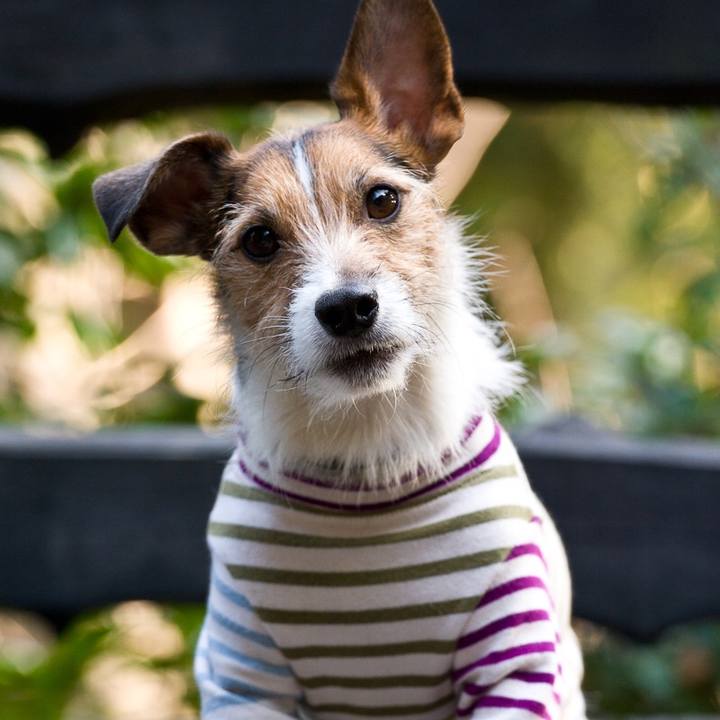 83550bde f9fe 486c ac5c ded75a3d16b4