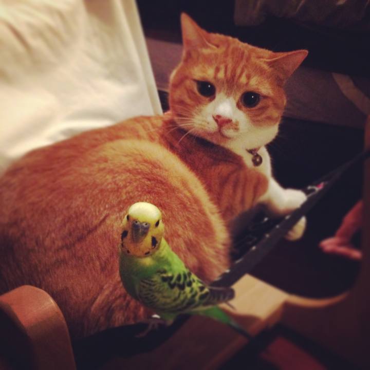 835566b3 7063 435f b921 ef6063e533ba