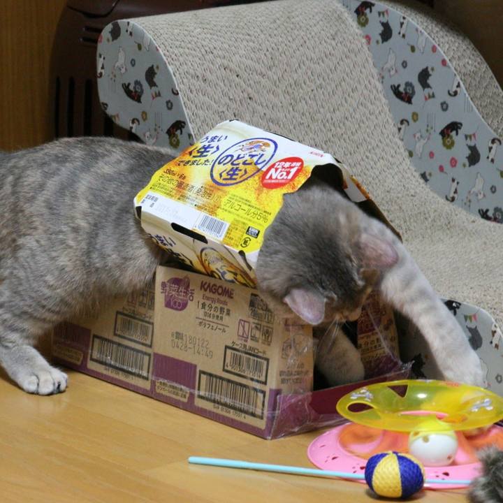 83559665 6a47 461d 9e1a 278bf3517940