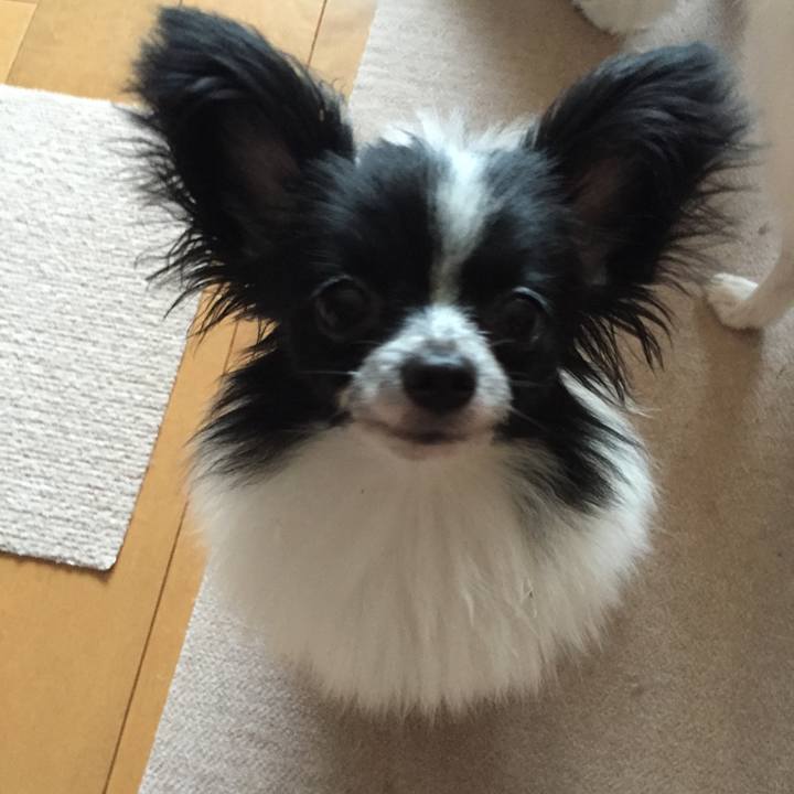 8356394f 21bc 47ea b042 c708d224e156