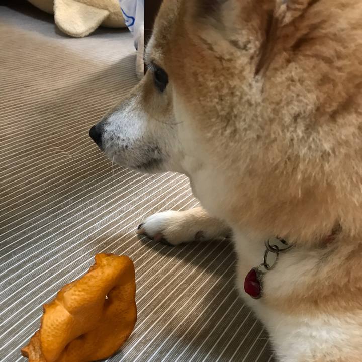 83567fd1 003a 4dde bf72 fa1fe4feed3b