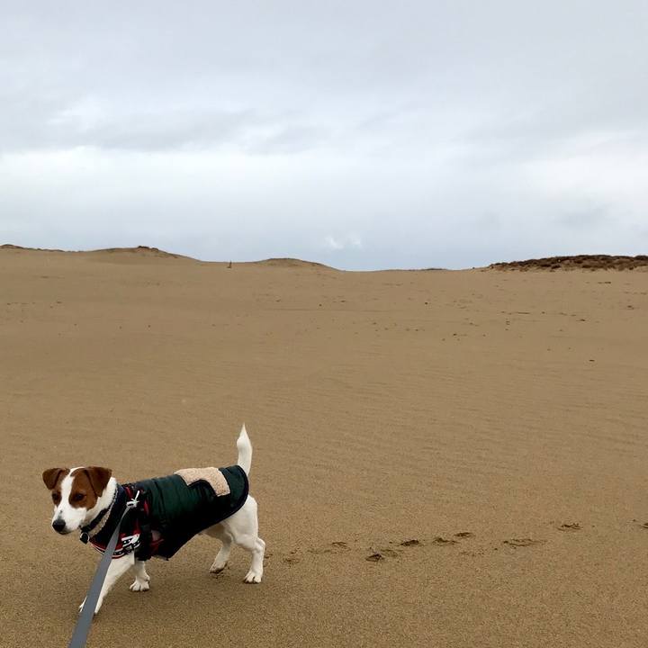 8356ef0a 88ea 49fd ab56 fd1f223590ee