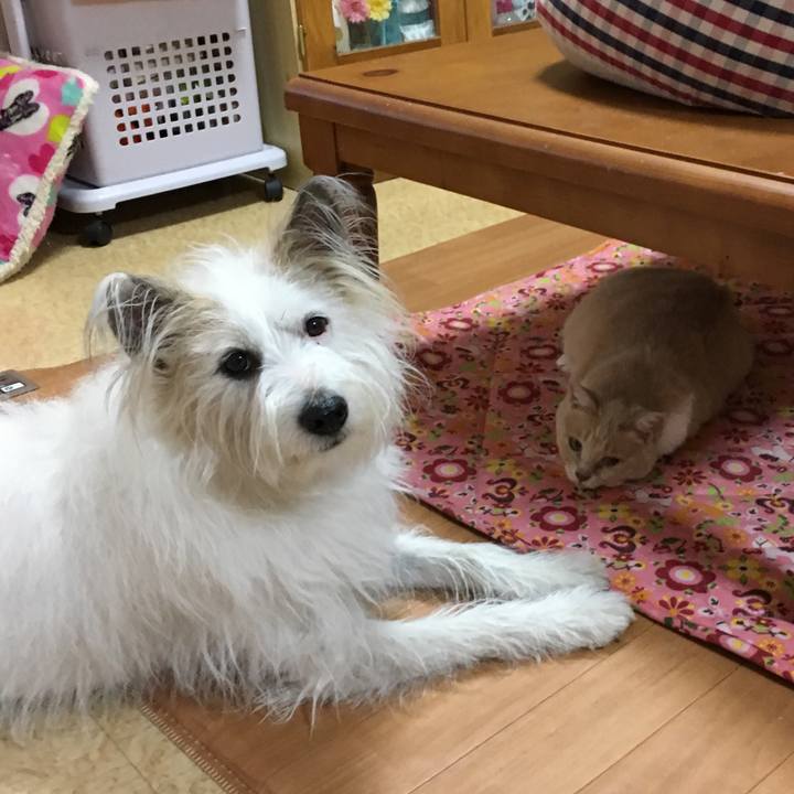 83572972 329d 4070 a36c 0b16477c8ec1