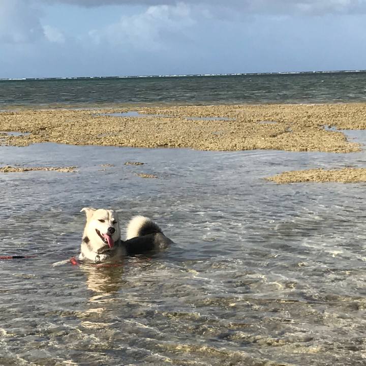 83575a8a 4a65 46f2 803c 90c2cff12ecb