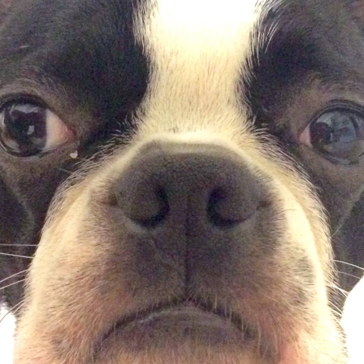 83577fdd 1e8b 416c be61 4a3fa7fdbb98