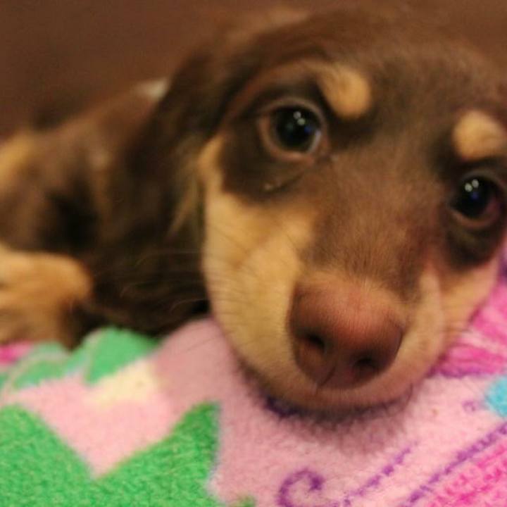 83583039 49b2 41fb b1a7 6c5ffce25120