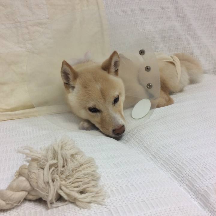 8358ae42 a37e 472b 92b6 4d047941afd3