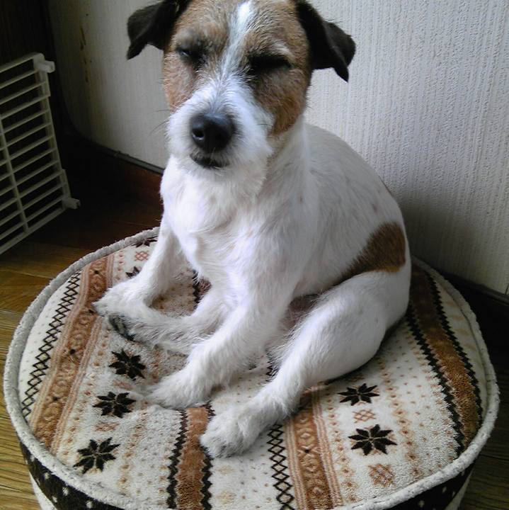 8358da40 1871 4e53 b5c1 c6520e9e0848