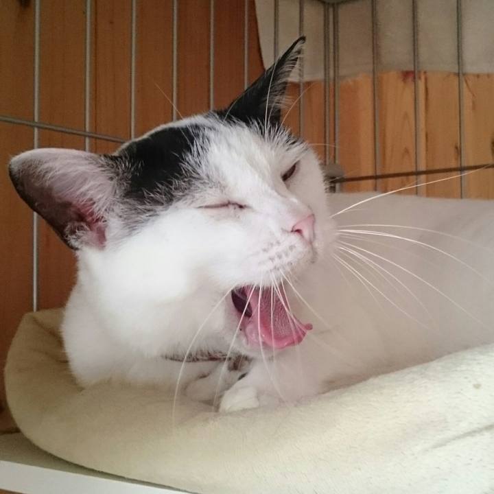 8358f715 32f2 4c62 951d 19de87eacc85