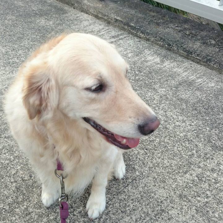 83592a73 aae2 433d 82d7 03d791cdb77c