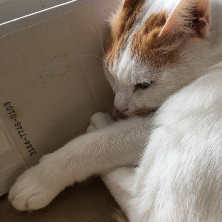 83593761 1aff 44ad a8e7 fa60d69ec23c