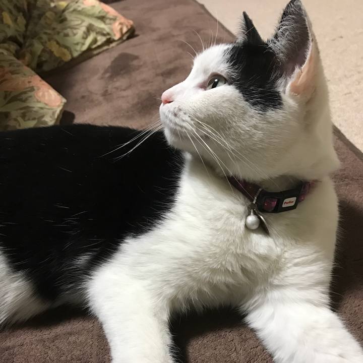 835996e7 9077 4534 8796 68b69526ef2d