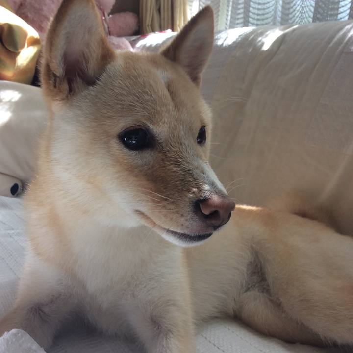 8359f8b6 be55 4880 b54a 1d99b206ab75