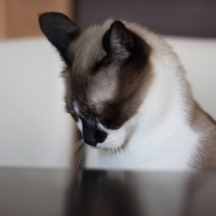 835a077d 1726 419a 9727 f4e02868186b