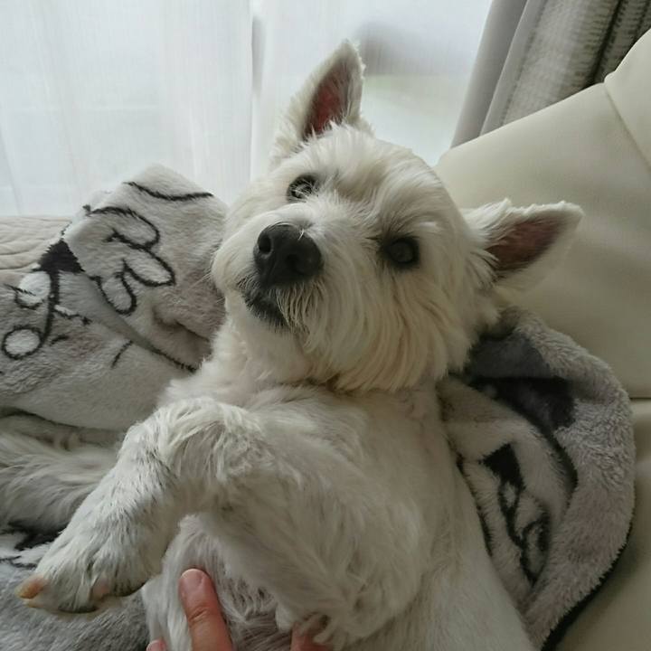 835ab18a 0b75 4f0a b482 96f3d6373f75