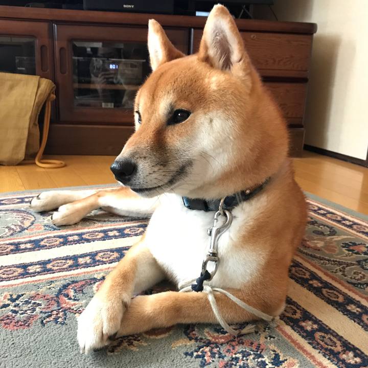 835b0c8d be19 4293 99e0 9b24682d34c3