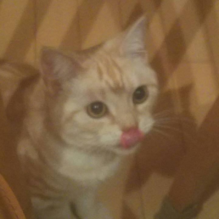 835b4de5 fbbd 4f36 8269 dadfe76d61c6